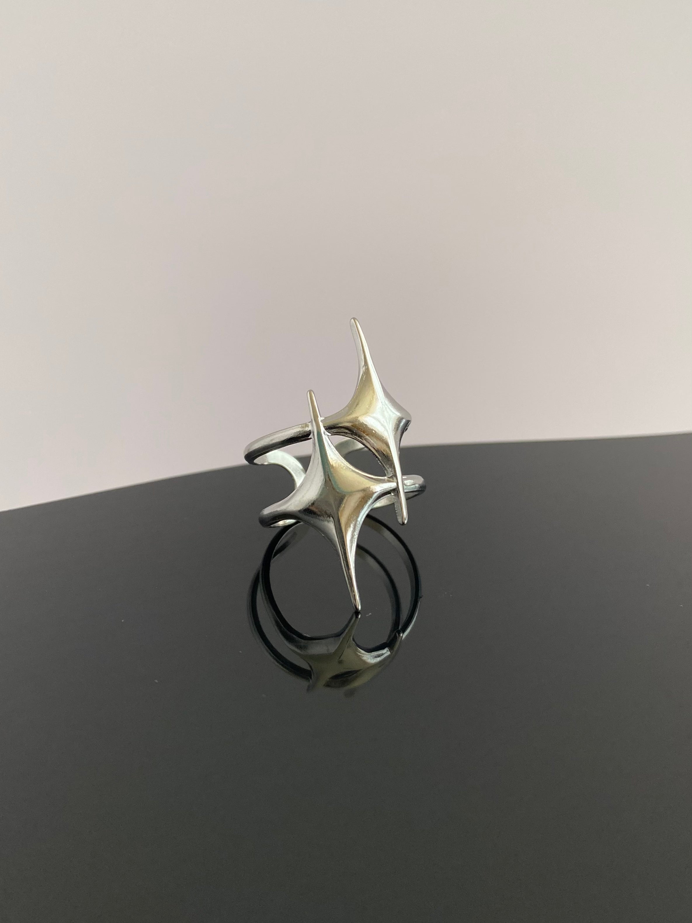 Anillo Prism